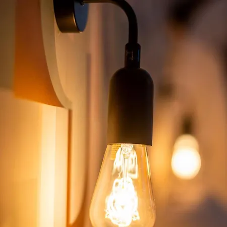 Major D'home Amalgame * Perigueux