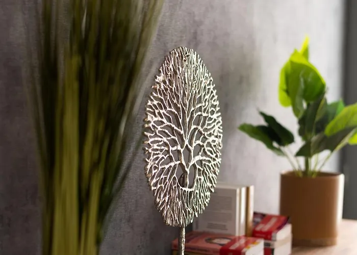 Major D'home Amalgame ペリグー