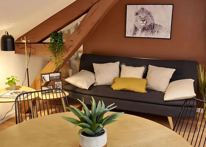 Major D'home Amalgame ペリグー