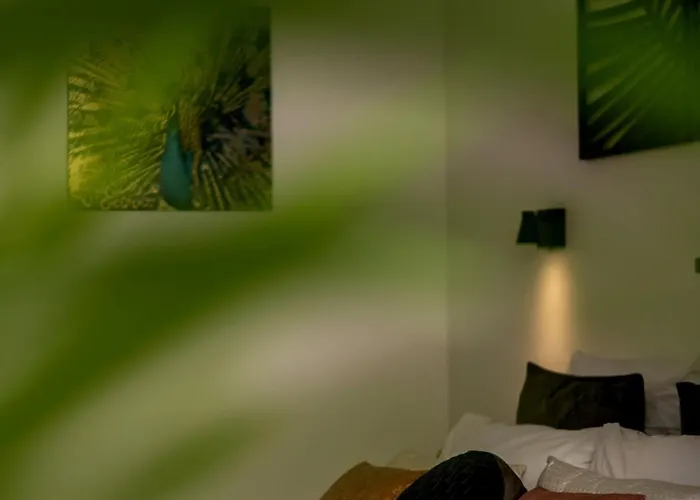 Major D'home Amalgame *